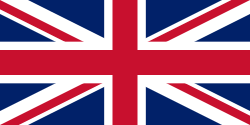 Selected language flag